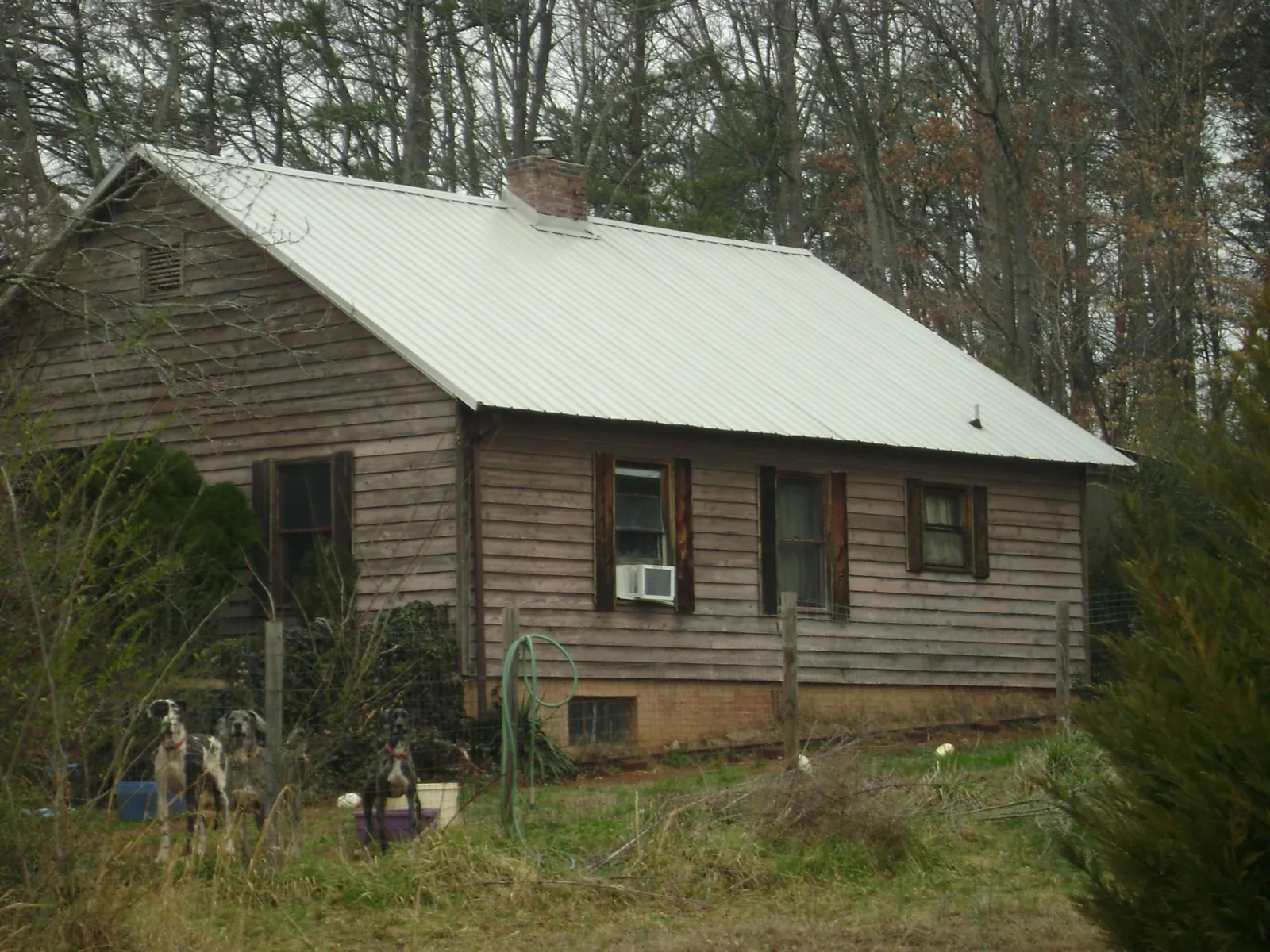 White metal roof on an old wood sided farmhouse, from a Asphalt Shingle Roof Repair job in Leeton